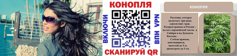 магазин наркотиков мега как войти Канабис тримм Курлово
